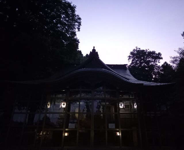 f:id:kagenogori:20260806084640j:image f:id:kagenogori:20260806084640j:image