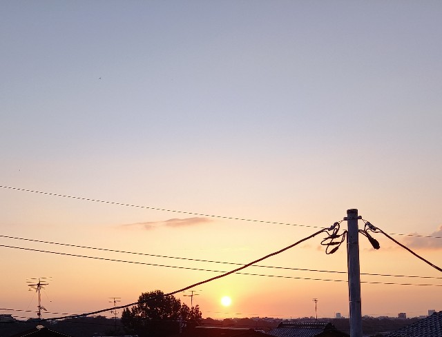 f:id:kagenogori:20260806084947j:image f:id:kagenogori:20260806084947j:image
