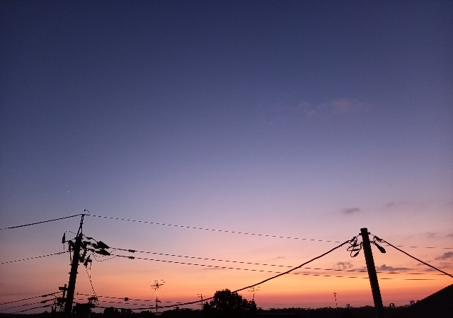f:id:kagenogori:20260806085008j:image f:id:kagenogori:20260806085008j:image