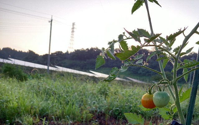 f:id:kagenogori:20260806104733j:image f:id:kagenogori:20260806104733j:image
