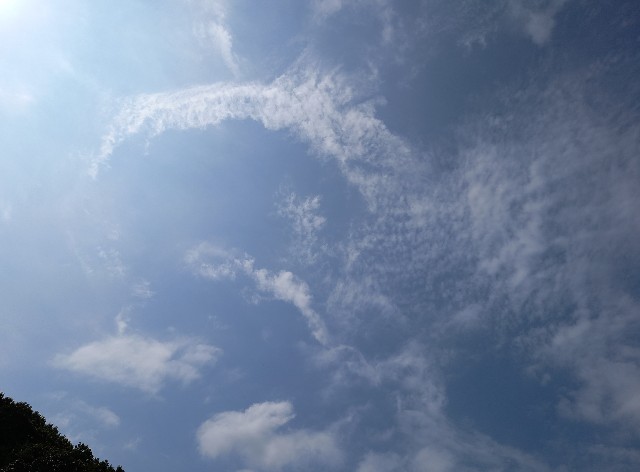 f:id:kagenogori:20260806104847j:image f:id:kagenogori:20260806104847j:image