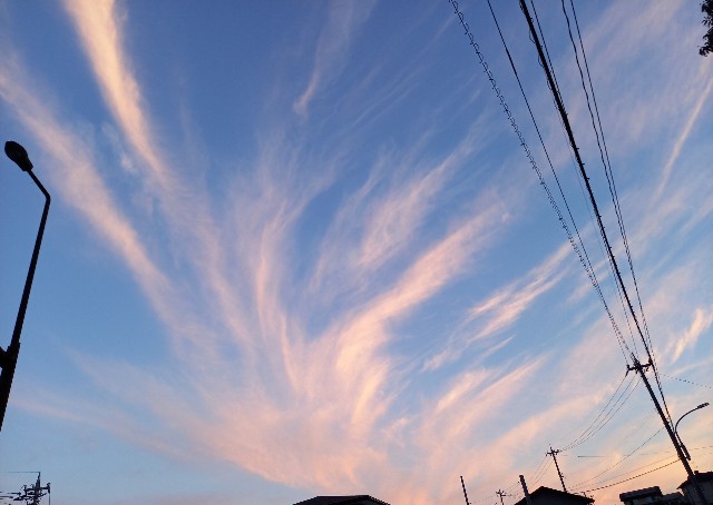 f:id:kagenogori:20260817175111j:image
