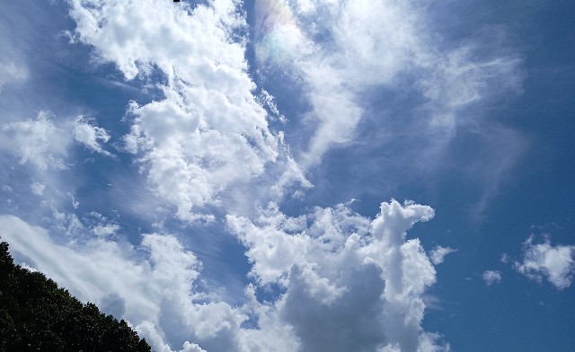 f:id:kagenogori:20260817175231j:image