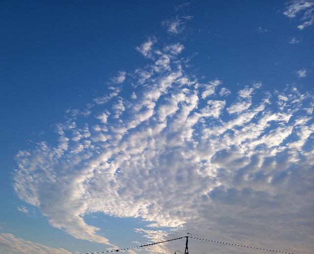 f:id:kagenogori:20260827074146j:image