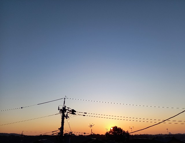 f:id:kagenogori:20260827074201j:image