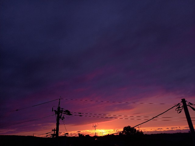 f:id:kagenogori:20260919080334j:image