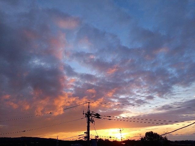 f:id:kagenogori:20260919080407j:image