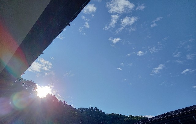 f:id:kagenogori:20260919080555j:image