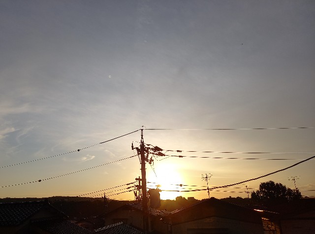 f:id:kagenogori:20261007112846j:image