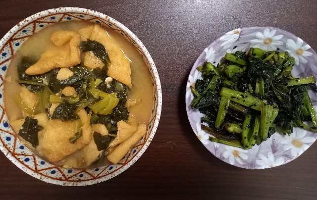 f:id:kagenogori:20261020100231j:image