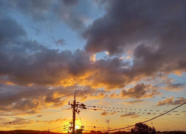 f:id:kagenogori:20261020100246j:image