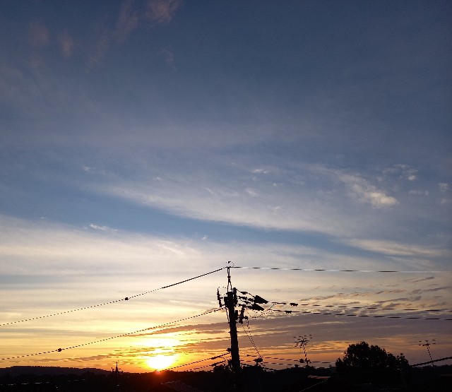f:id:kagenogori:20261020100317j:image