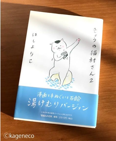 猫村ねこは 今日も行く かげとら猫生活