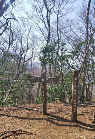 眺望は無いけど達成感のある山頂