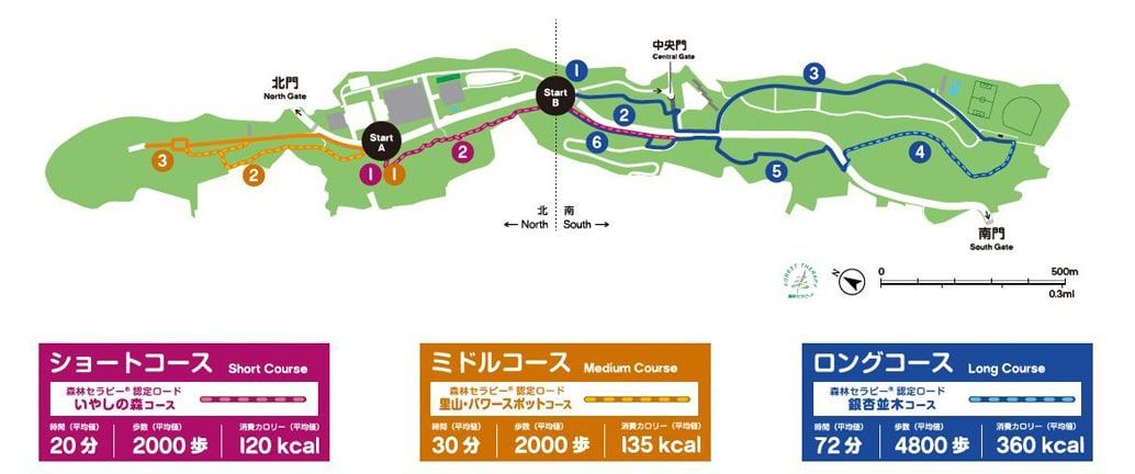 森のみちコースマップ3種
