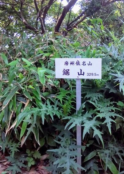 少し狭い鋸山の山頂