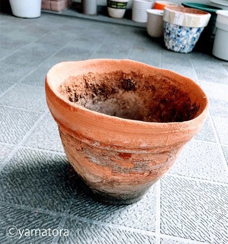 最後は土へと還る環境に優しい植木鉢