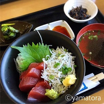 夢Dream食堂の釜茹でしらす丼