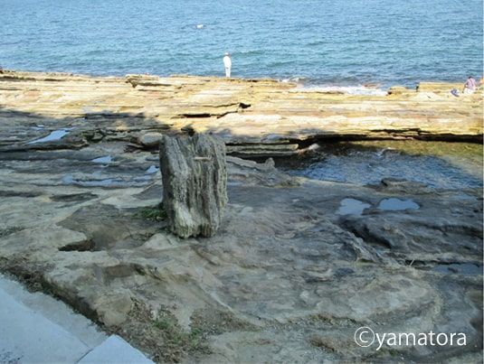海岸にある大きな岩