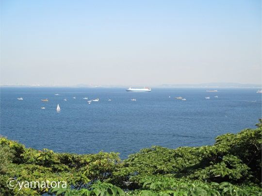 小高い丘から望む海岸