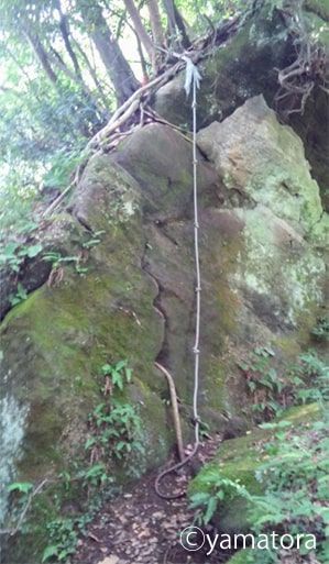 登るためのロープがついた岩