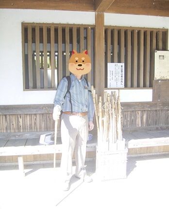 ç¦æºå¯ºã§ç»å±±è
ç¨ã®æãåããç¶