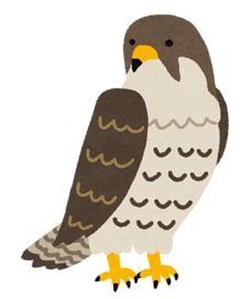 ハヤブサのイラスト