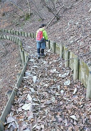 落ち葉でいっぱいの登山道