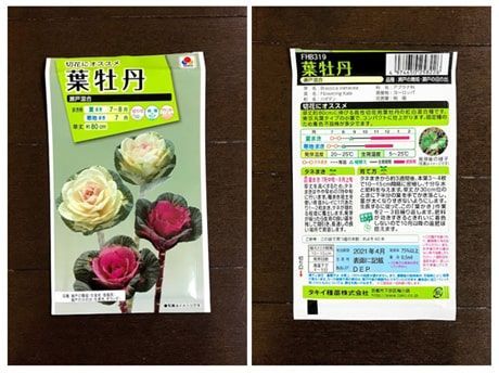葉牡丹の種袋の表面と裏面