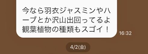 友人からの観葉植物に関するLINE