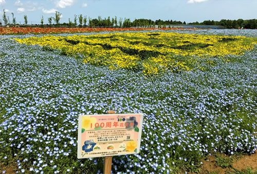 100周年花文字