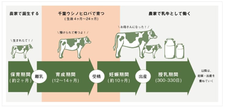 育成牧場について