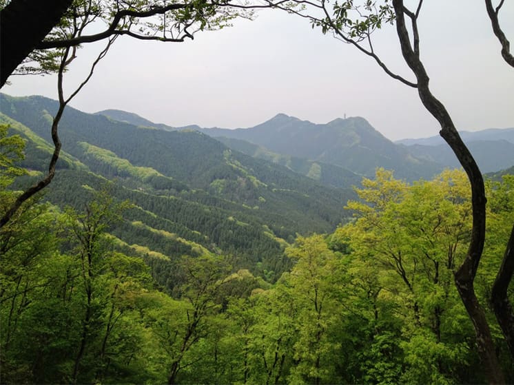 小高山からの眺望