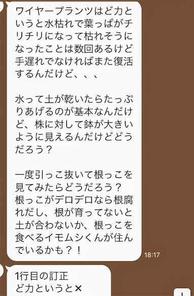 ワイヤープランツについての友人からのアドバイスLINE