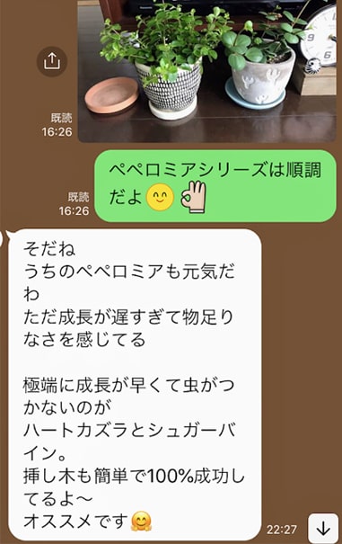 植物好きな友人とのLINE