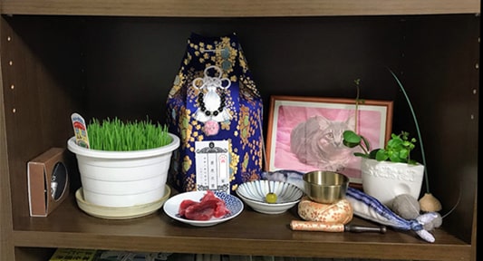 愛猫に供えたマグロと猫草