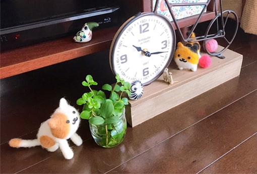ペペロミアの切り葉とアニマルマスコットたち