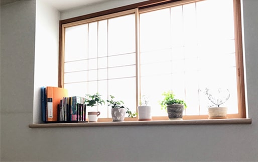 窓辺に飾った観葉植物の鉢