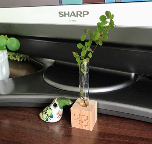 リカシツで購入した試験管型の水挿し