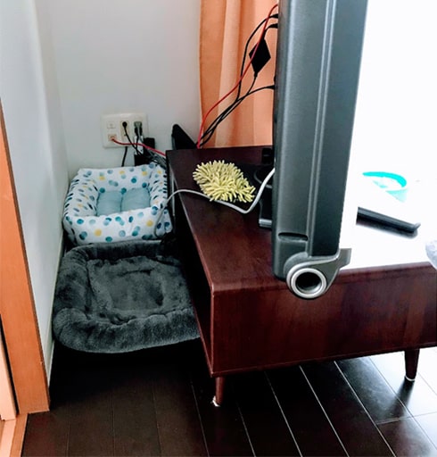 テレビ裏へ猫マットを敷く