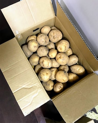 じゃがいもの入った段ボール