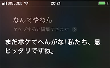 なんでやねんの返し