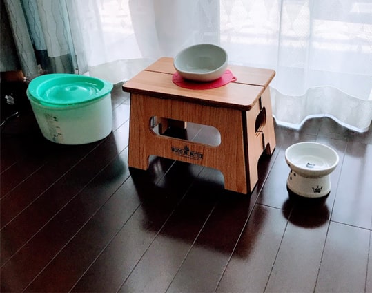 子猫用に準備したゴハン台