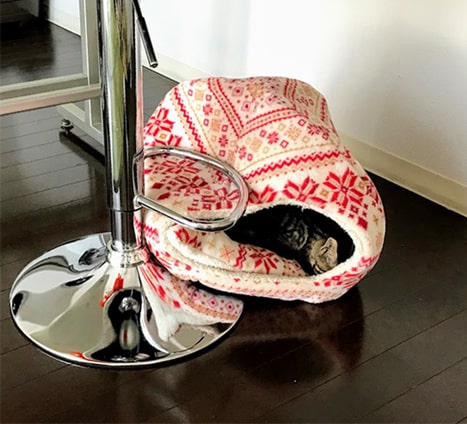 引っ張り回してぺしゃんこになるハウス