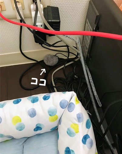 テレビ裏にあったポンポン