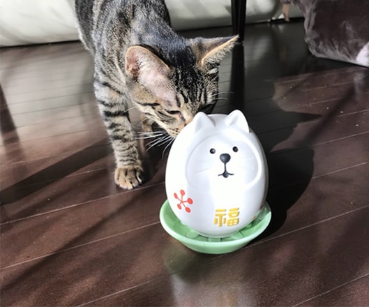 素焼きの猫型加湿器の匂いを嗅ぐ子猫
