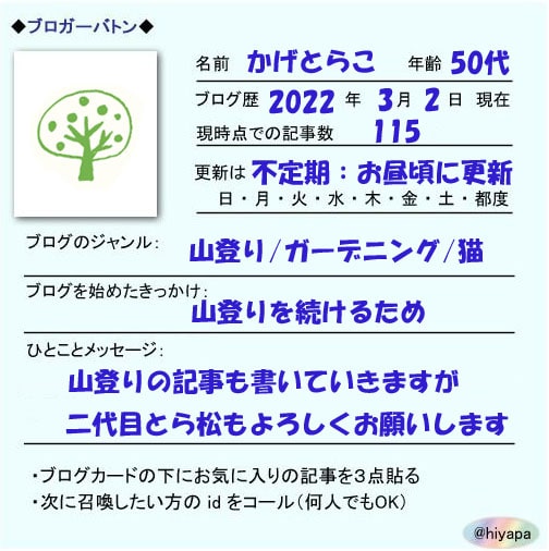 ブロガーバトン2022