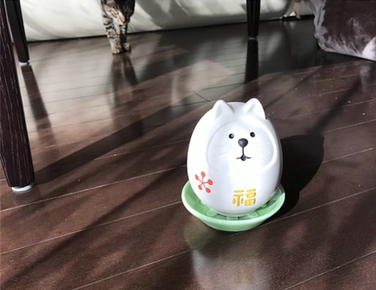 背後から忍び寄る猫