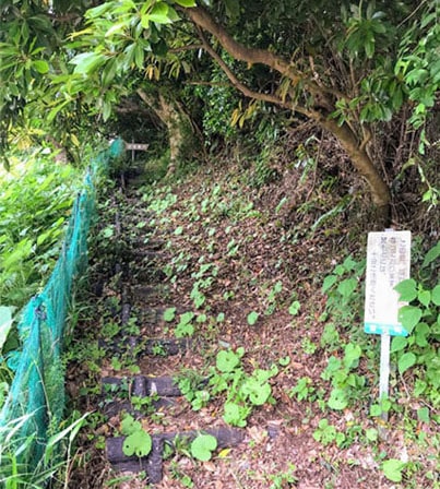 山道へ向かう道標