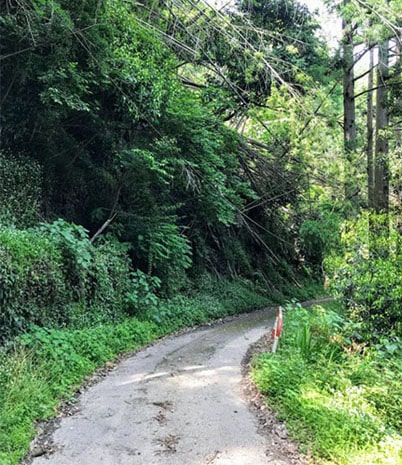 右カーブの山道